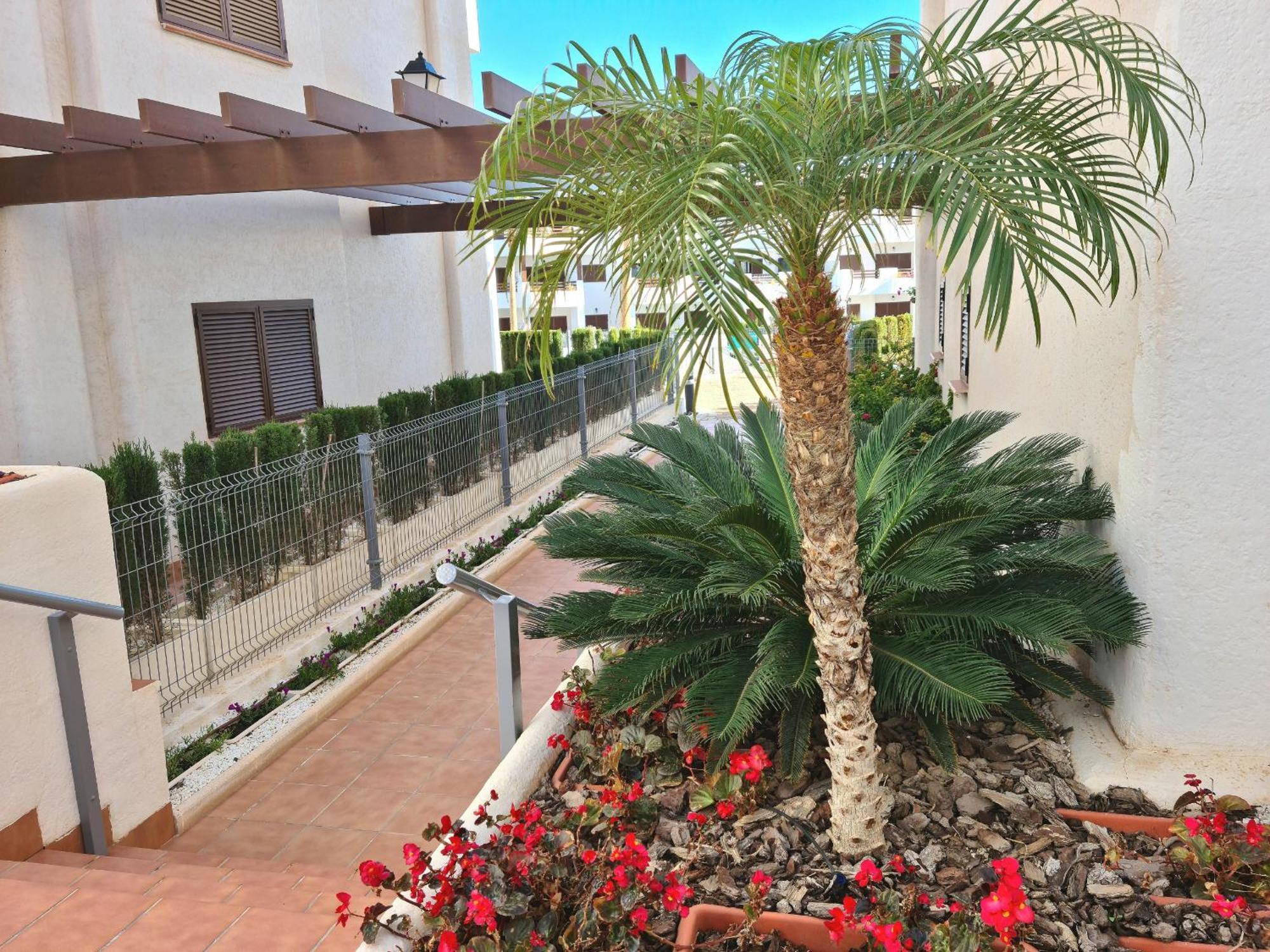 El Sueno Apartment ซานฮวน เด ลอส เตร์เรรอส ภายนอก รูปภาพ