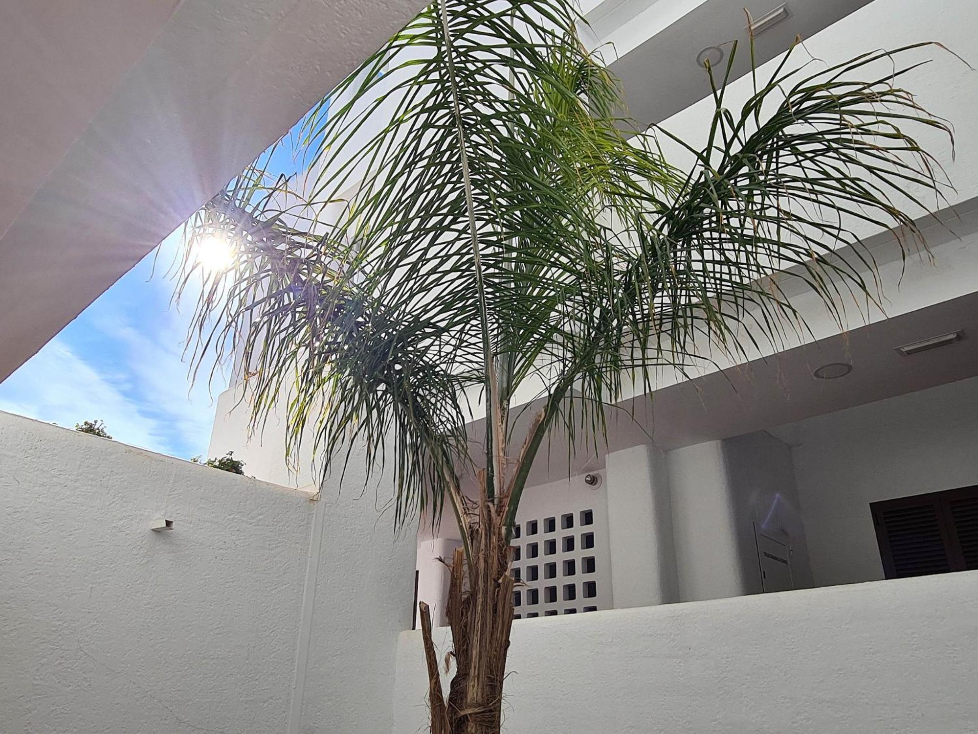 El Sueno Apartment ซานฮวน เด ลอส เตร์เรรอส ภายนอก รูปภาพ